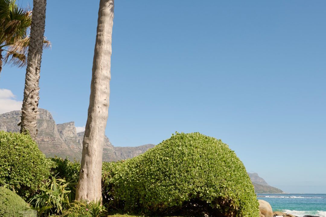 42